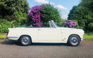 Triumph - Vitesse
